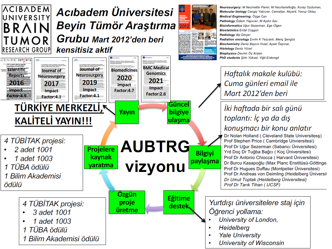 Araştırma Alanları