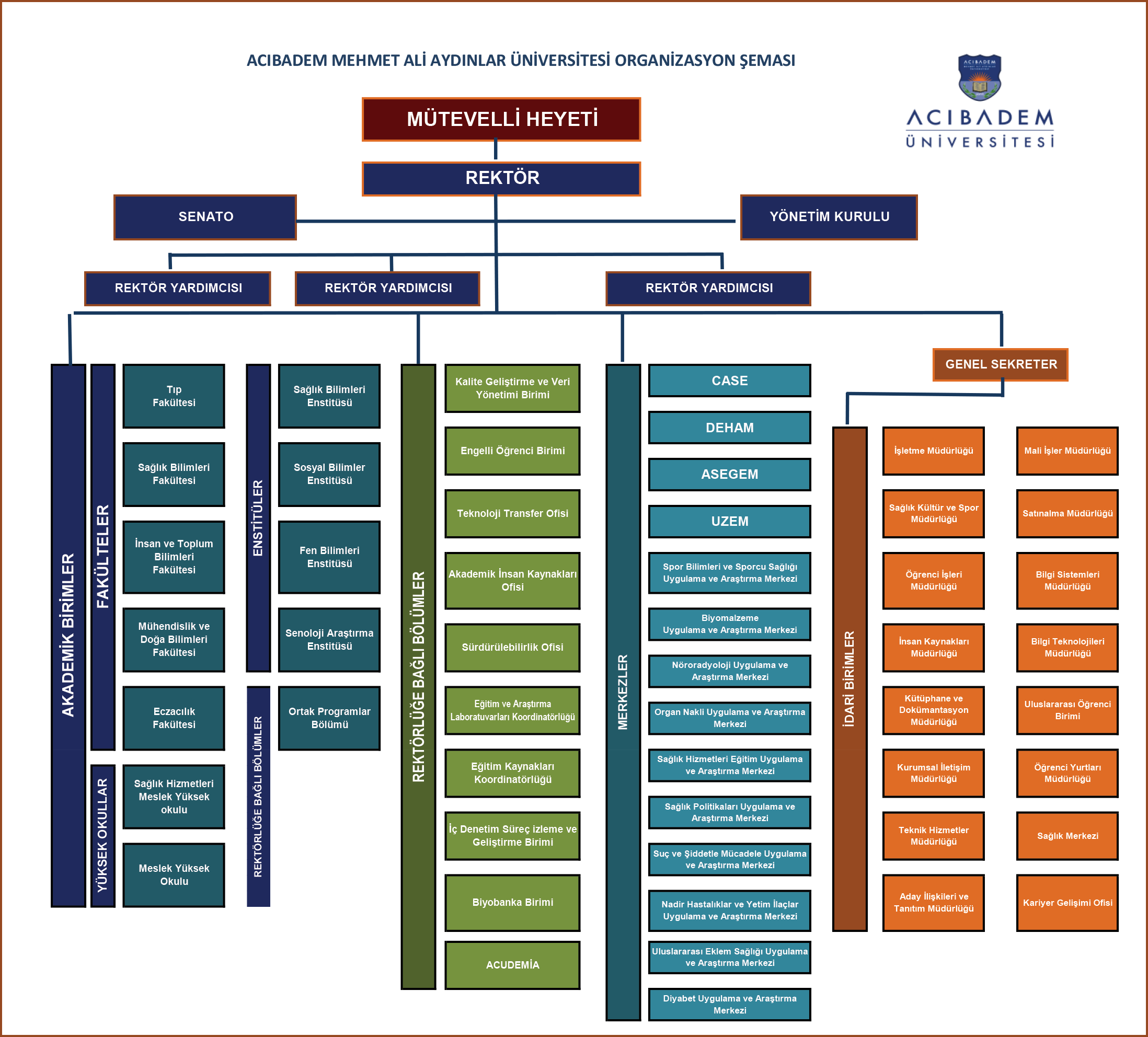 organizasyon şeması 2025