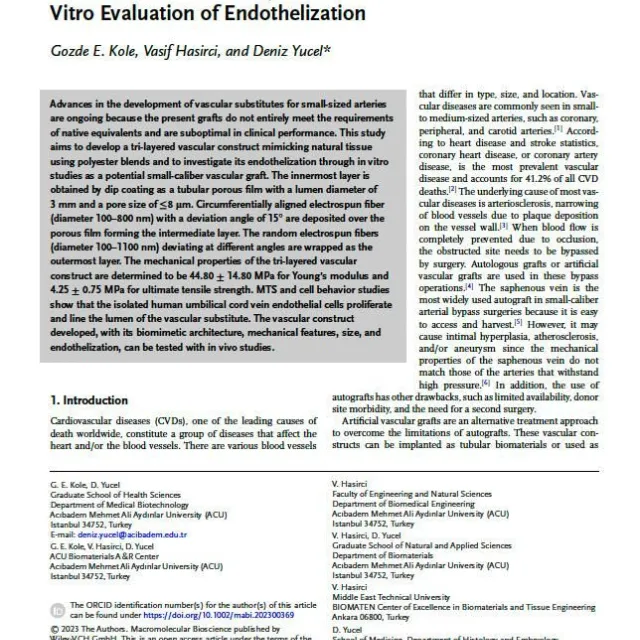 Macromolecular Science