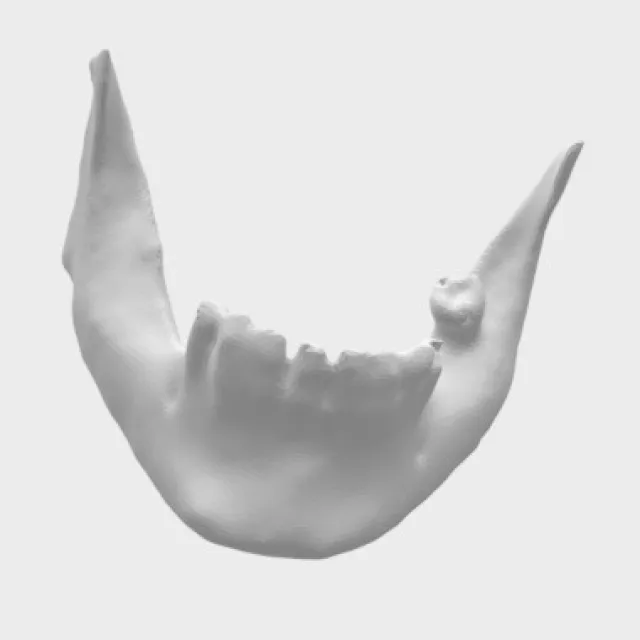 Lisansüstü Öğrencimiz Hilal Selamet, Biyomalzeme Uygulama ve Araştırma Merkezimizde bir alt çene üretti