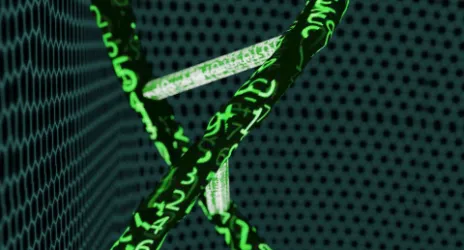 Biyoistatistik ve Biyoinformatik