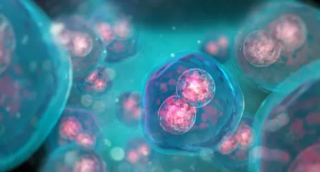 Genom Çalışmaları