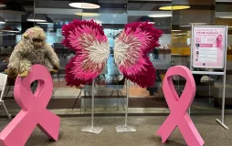 Meme Sağlığı Farkındalık - 3