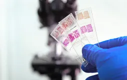 Histoloji ve Embriyoloji