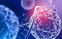 Molecular Biology and Genetics